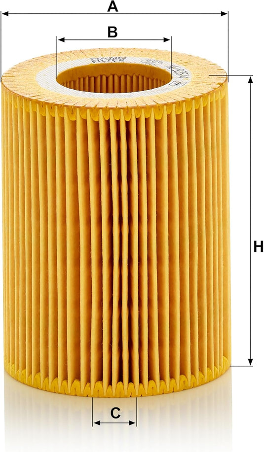 Mann Filter HU 925/4 x Cartridge Oil Filter Replacement with Oil Drain Plug Gasket