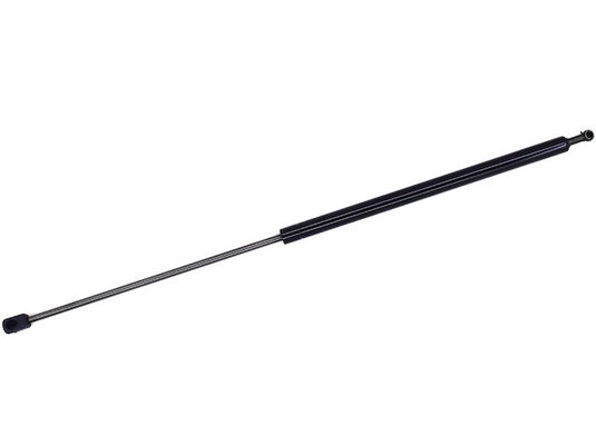 Hood Lift Support, 86196 TFS610560