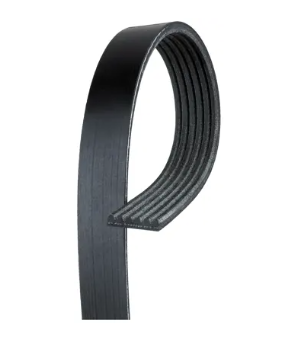 K060509 Micro-V Serpentine Drive Belt